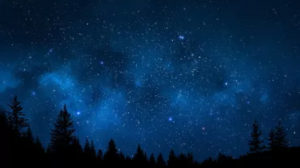 科尼對(duì)環(huán)境的承諾不止一小時(shí)，而在每時(shí)每刻