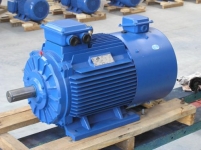 MDSP系列變頻電機(jī)