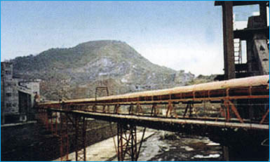 WT無(wú)托錕皮帶輸送機(jī)