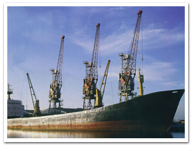 鼎力造船門座起重機(jī)