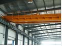 杭州力泰鏈條式電動雙梁起重機系列