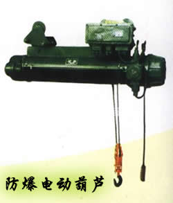 山東泰峰防爆電動葫蘆