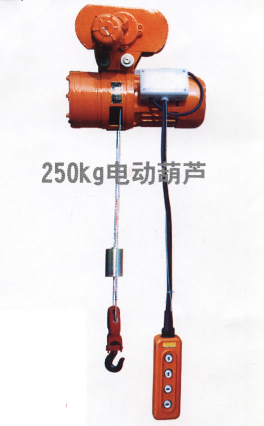 東莞市中250Kg原電動(dòng)葫蘆