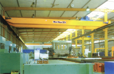 山東重力雙梁門式起重機(jī)2