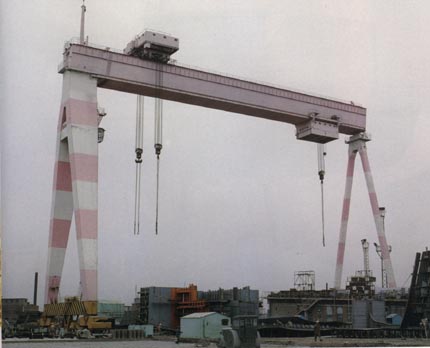 河南省奇瑞造船門式起重機(jī)