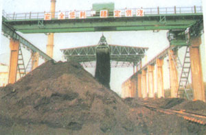 新泰市魯東QZ型抓斗橋式起重機(jī) QZ型