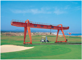 廣州五杰龍門(mén)吊起重機(jī)