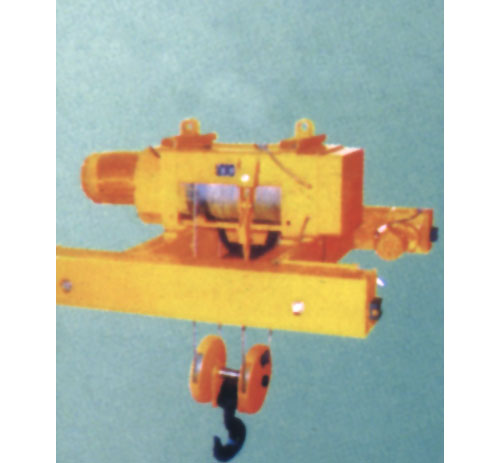 東莞市長盛大噸位電動葫蘆