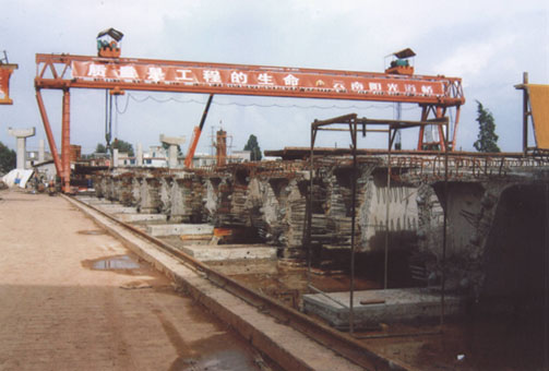 河南省中泉路橋100t提梁門機 100t