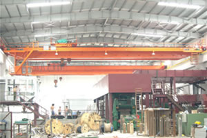 東莞安博橋式起重機(jī)