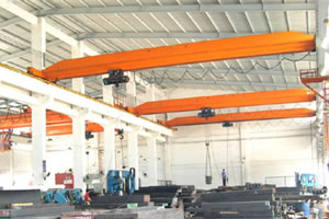 東莞安博橋式起重機(jī)2