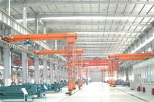 東莞安博門(mén)式起重機(jī)5