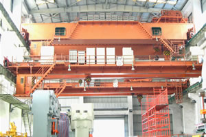 東莞安博橋式起重機(jī)10