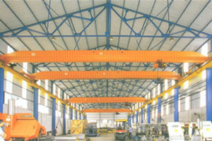 東莞安博橋式起重機(jī)11