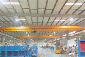 東莞安博橋式起重機(jī)12