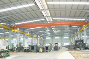 東莞安博橋式起重機(jī)13