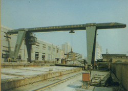 北京起重工程-10t電動葫蘆門式起重機(包箱式) 10t