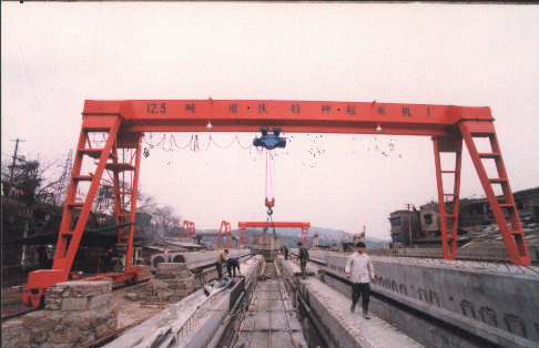 重慶特種機(jī)械12.5t電動葫蘆門式起重機(jī) 12.5t