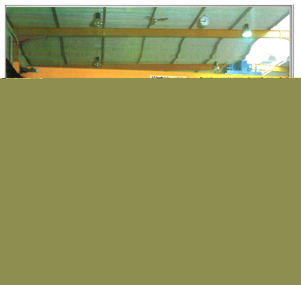 上海豪礦:LH型電動(dòng)葫蘆橋式起重機(jī) LH型