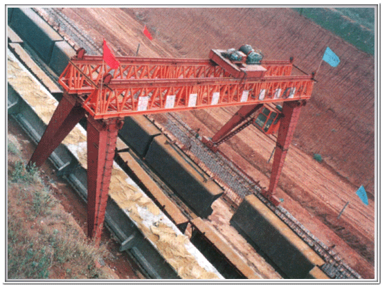 上海豪礦:75T門機(jī)