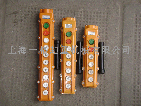 上海一格：手柄開(kāi)關(guān)