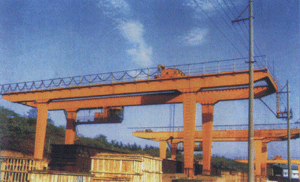 上海一格：門式起重機(jī)3