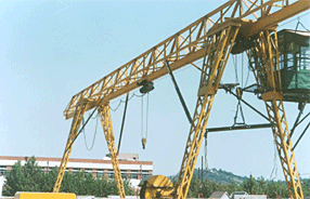 煙臺清洋電動葫蘆單梁門式起重機(jī)