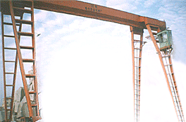 煙臺清洋20T電動葫蘆單梁門式起重機(jī) 20T