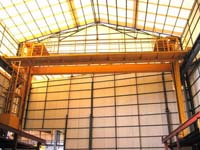 南桂起重:1+1氧化、電泳專用起重機(jī)