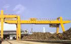 常州天寧:5～10噸三用橋式起重機