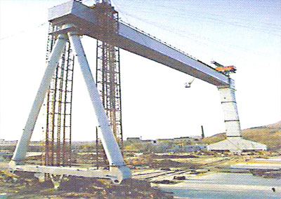 青島膠州泰山100t 造船起重機(jī) 100t