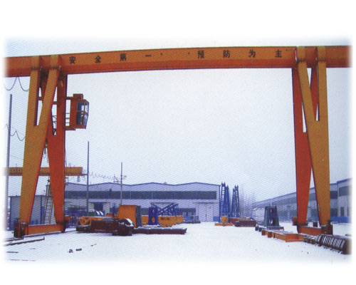 濮陽(yáng)市信宇 2-250噸通用門式起重機(jī) 2-250噸