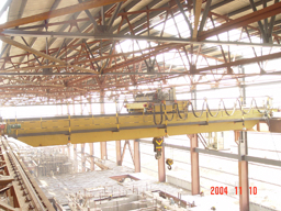 山東豐匯橋式起重機(jī)