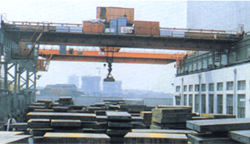 青島高升:5-20t電動(dòng)二三用橋式起重機(jī)