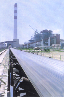 青島高升:固定式膠帶輸送機(jī)