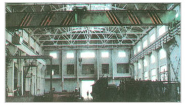 杭州安尼:LDP電動(dòng)單梁橋式起重機(jī) LDP