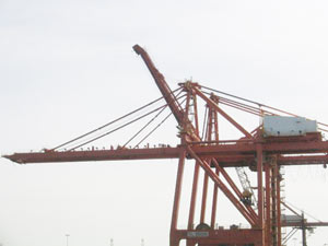 常州龍?jiān)窗哆吋b箱起重機(jī)1