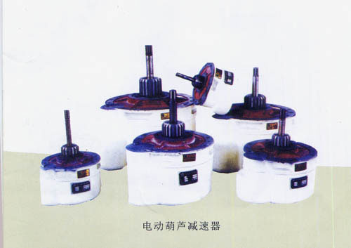 大連騰躍:電動葫蘆減速器