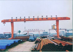 山東天力:L型電動葫蘆門式起重機