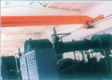 山東天力:LB型電動(dòng)單梁防爆橋式起重機(jī) LB型