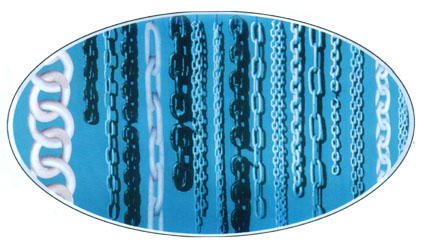 山東天力:鏈條系列產(chǎn)品