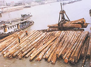 安慶華夏:單索、雙索木材抓斗