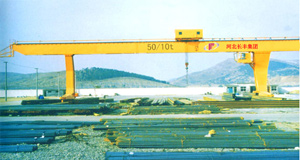 合肥巨神:門式起重機(jī)