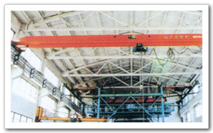 靖江市國(guó)盛 橋式起重機(jī)