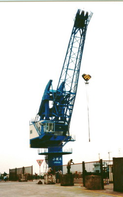上海信達(dá)GQ5024固定式起重機(jī)