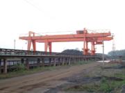 柳州柳起：抓斗門式起重機(jī)