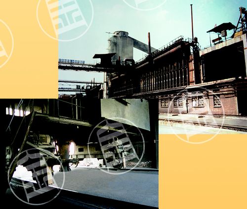 濟南金鐘:煤塔秤