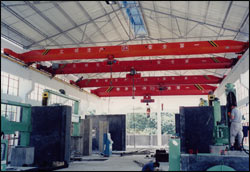 廈門廈起：橋式起重機(jī)