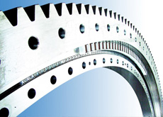 無錫立達(dá)回轉(zhuǎn)支承.