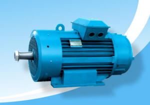 無錫天寶:YZR YZ系列起重及冶金用三相異步電動(dòng)機(jī) YZR YZ系列